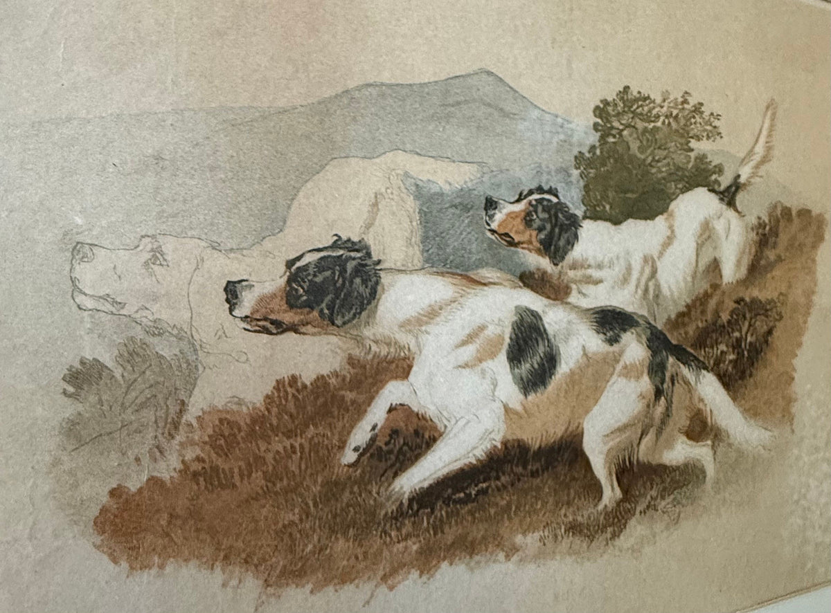 Antique 1874 Chromolithograph, The Setters, Three English Setters, Walnut Frame