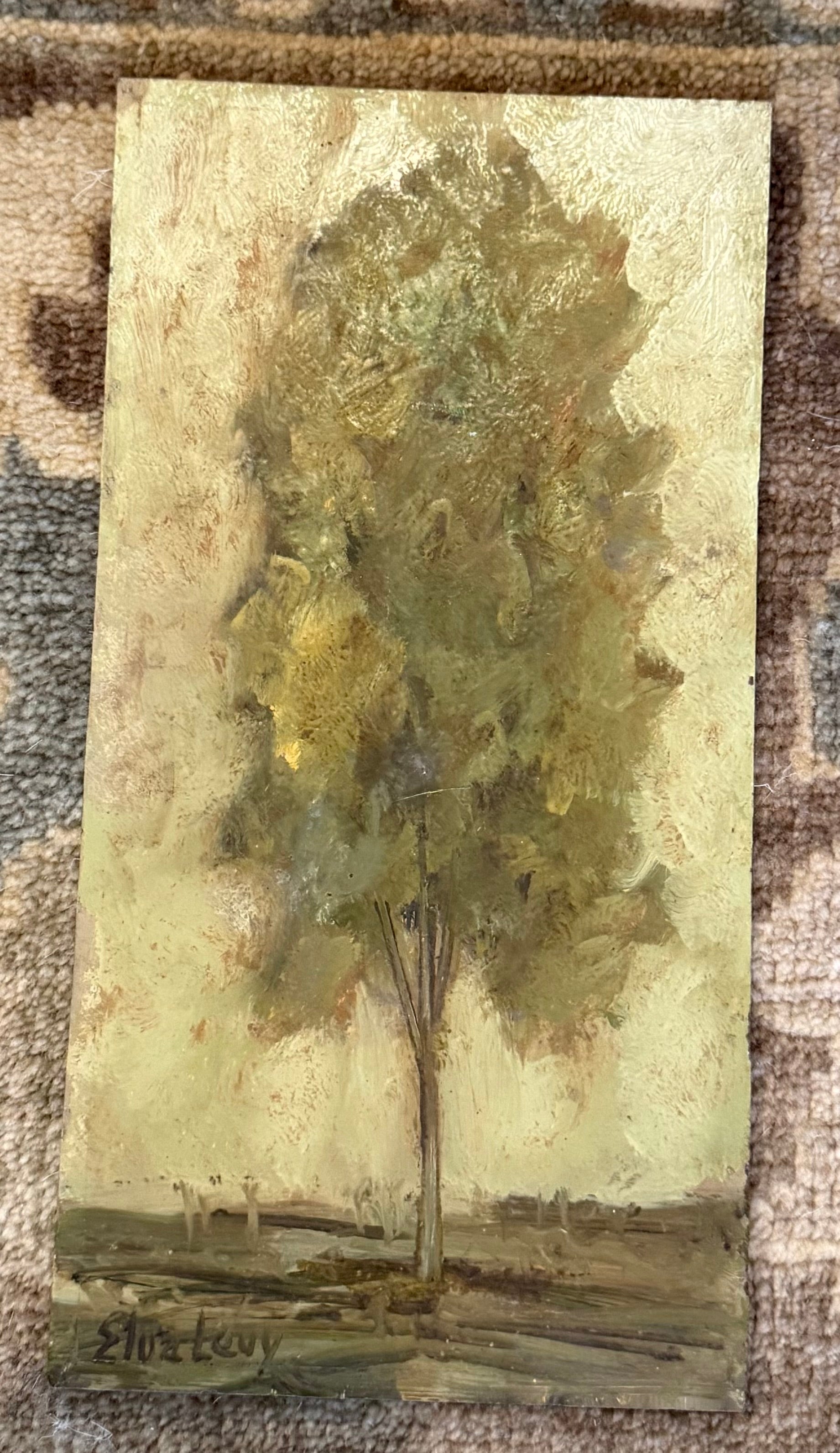 Vintage American Oil on Board Tree Study — Elva Levy Mid-Century Texas Modernist Listed Artist