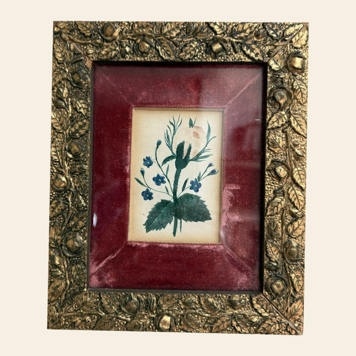 Antique Framed Botanical Watercolor, Blue Flowers on Red Velvet, Gilt Frame