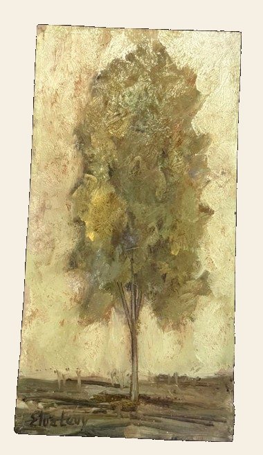 Vintage American Oil on Board Tree Study | Elva Levy Mid-Century Texas Modernist Listed Artist